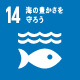 SDGs14海の豊かさを守ろう