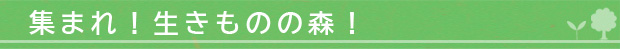 集まれ！生きものの森！詳細