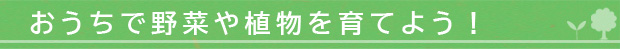 おうちで野菜や植物を育てよう！